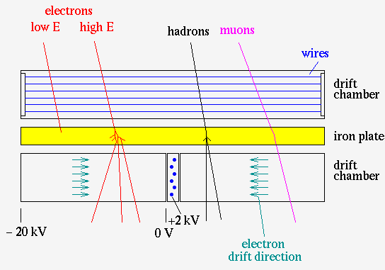 different particle types in a CRT detector