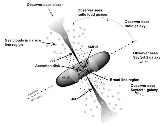 fig1