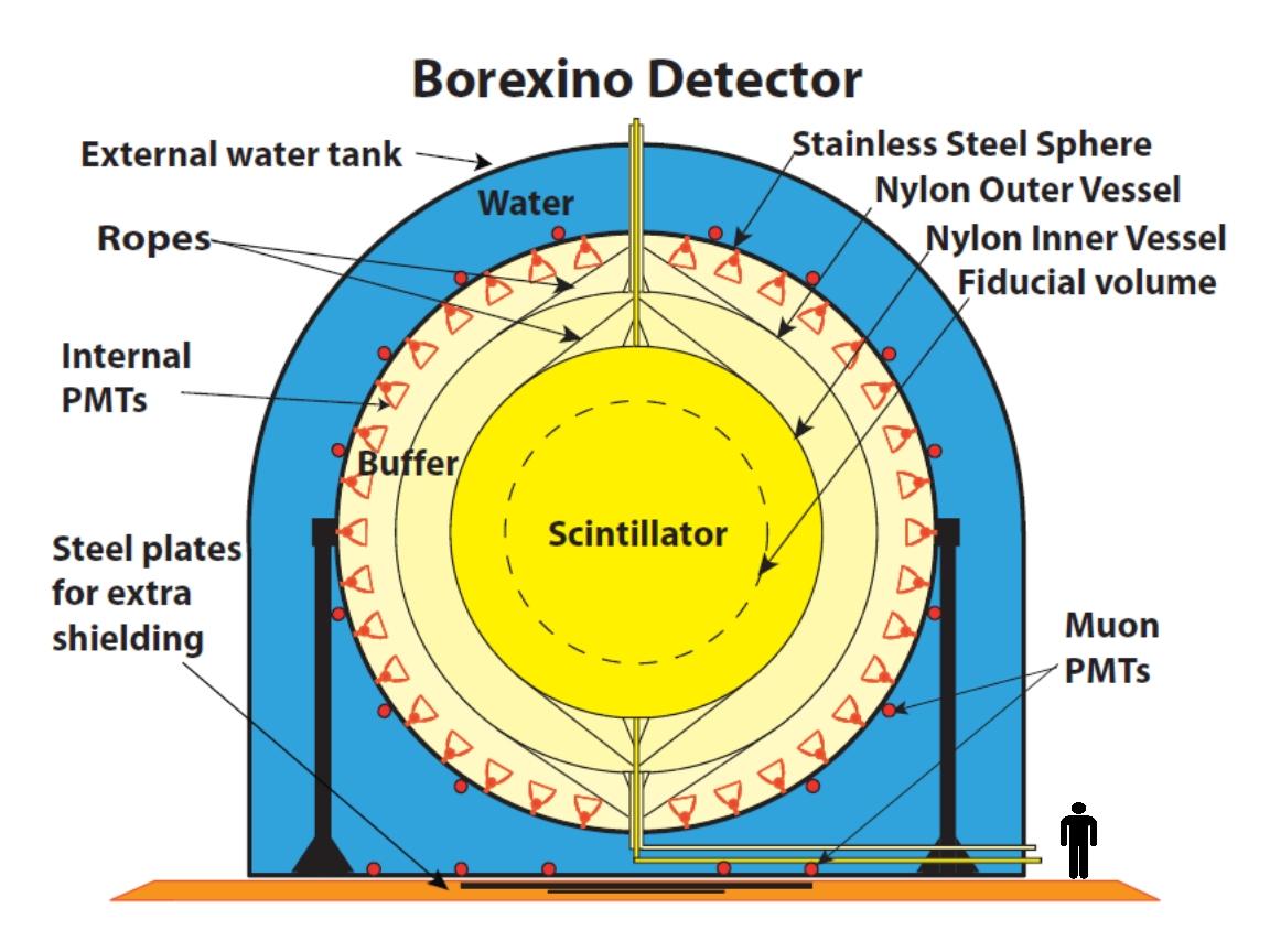 Borexino detector