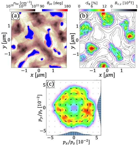 Filament-Pol_Fig-2.png 