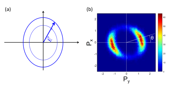 Fig-2_01.png 