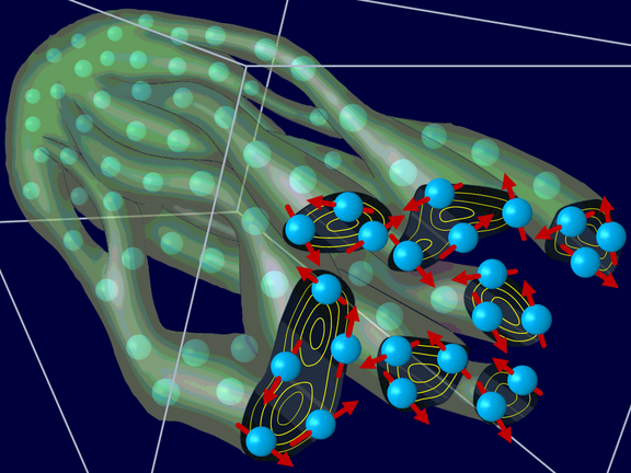 Filament-Pol_Fig-1.png 