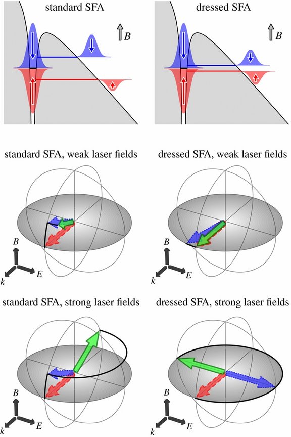 fig-spin.jpg 