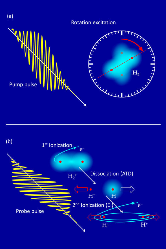 Rotclock_Fig-1.png 