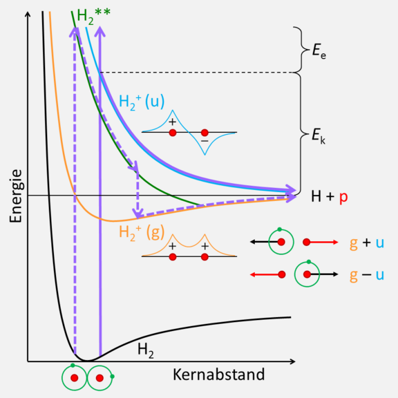 Fig1_grau.png 