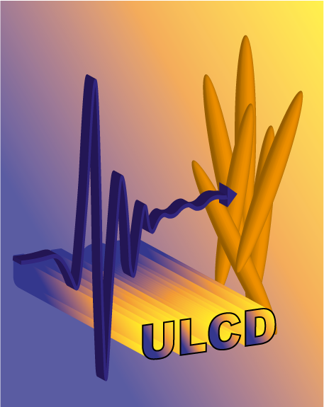 LOGO_ULCD.png 